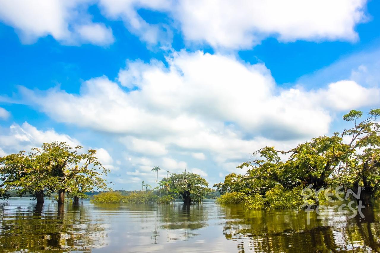 Puerto Montufar Green Forest Ecolodge מראה חיצוני תמונה