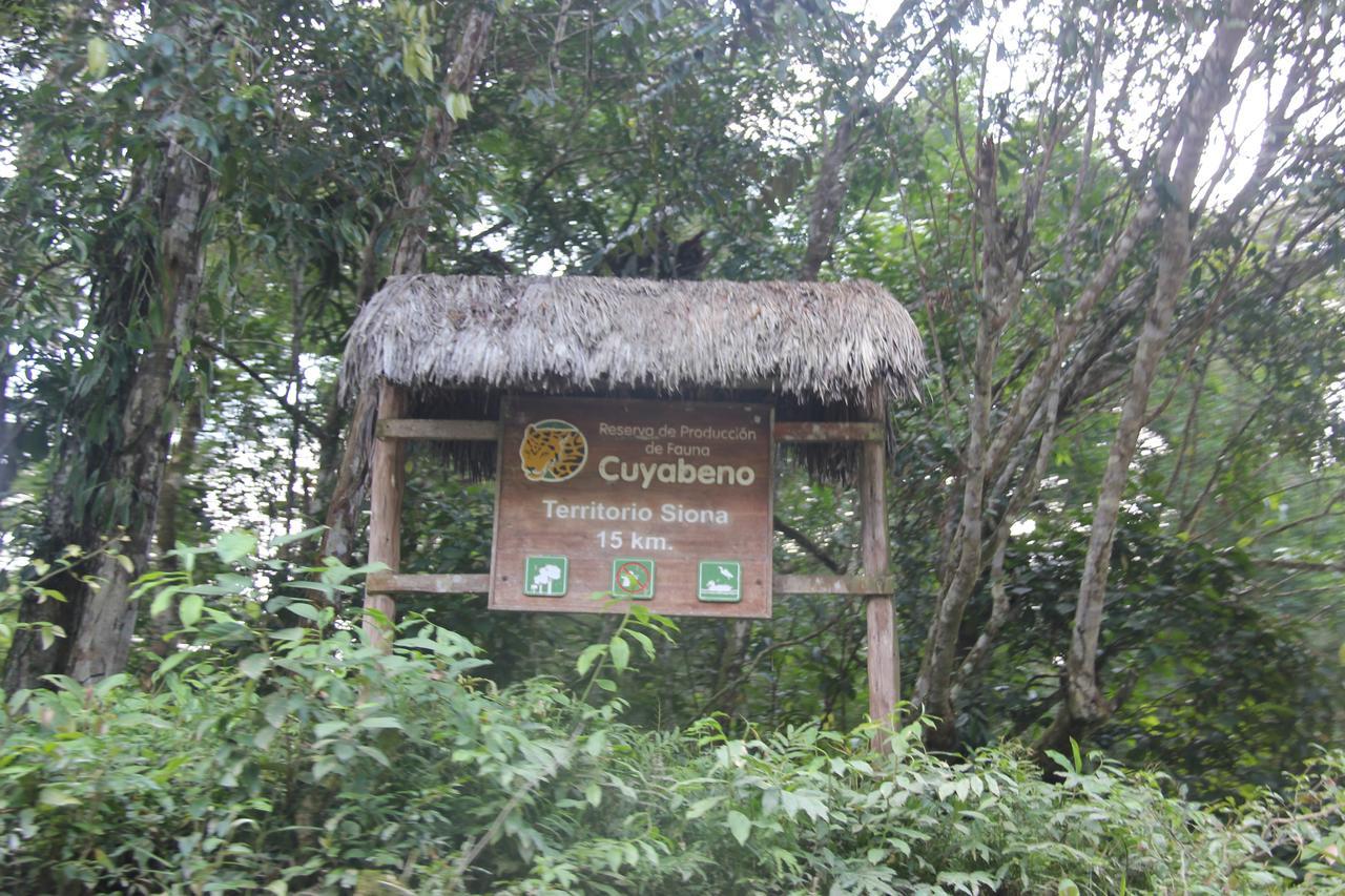 Puerto Montufar Green Forest Ecolodge מראה חיצוני תמונה